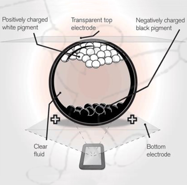 Ecran Altivario Syride Evolution